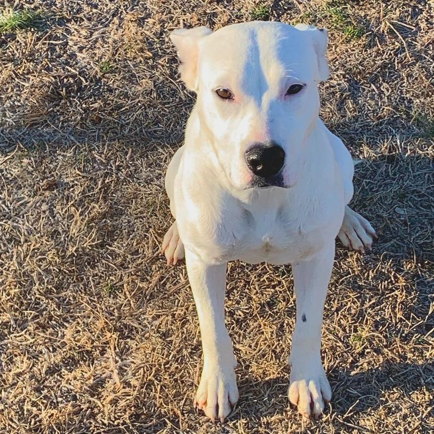 Winnie — thumbnail 5