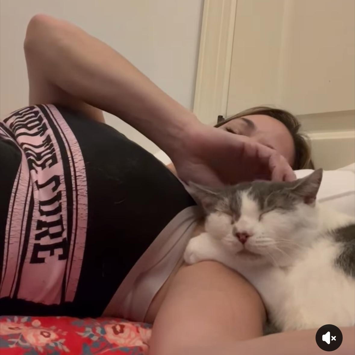 Enlarge Sweetie, a Adoptable Domestic Short Hair in Wanaque, NJ image 4/6