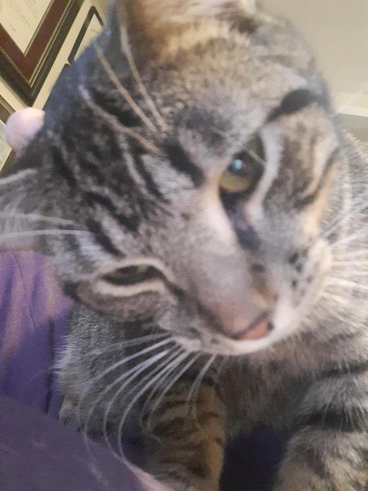 Nixon — thumbnail 2