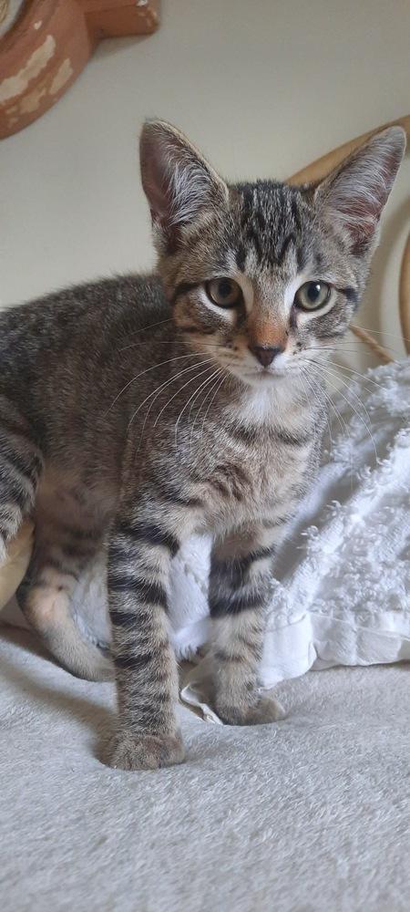 Nixon — thumbnail 3