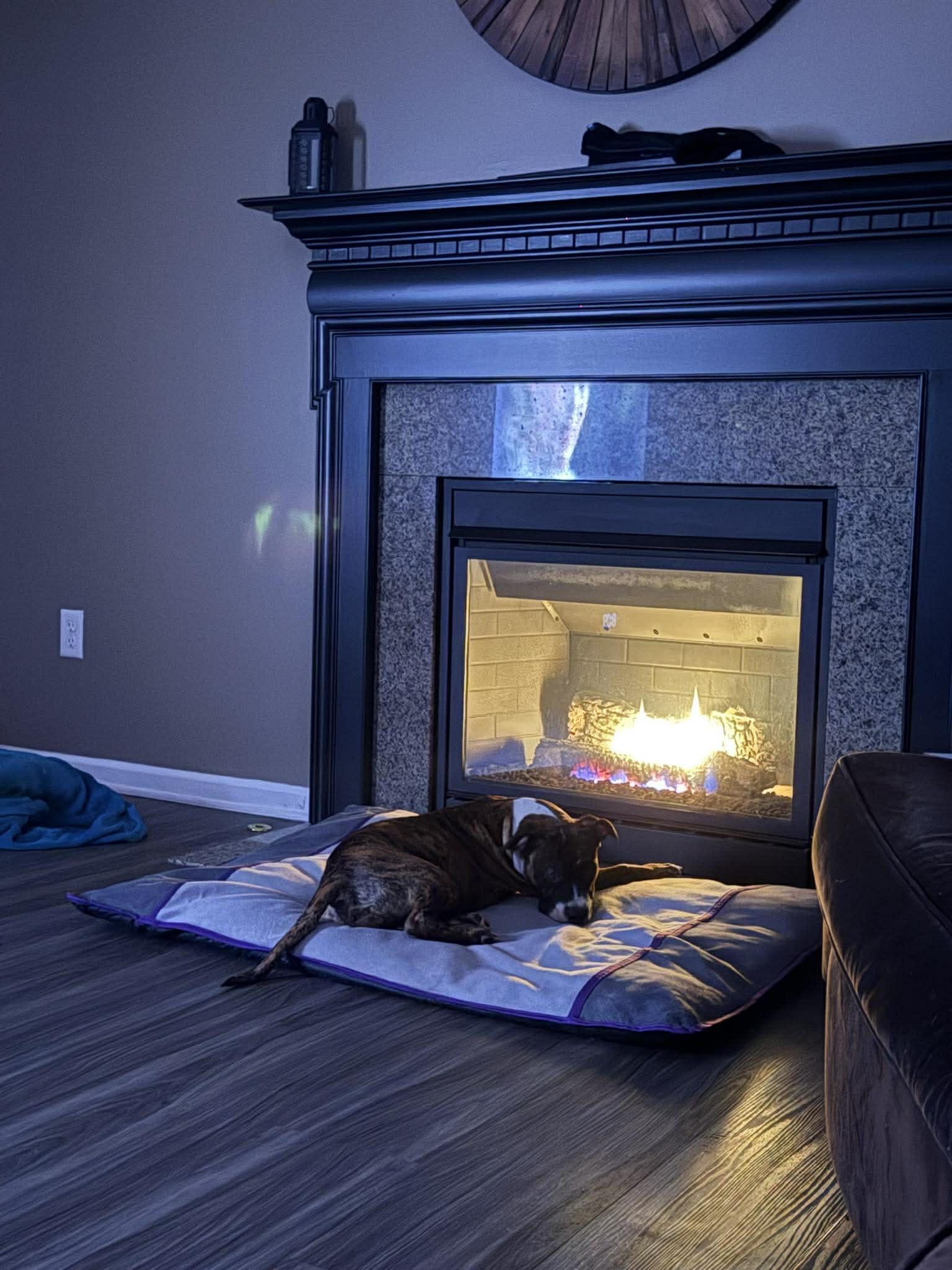 Enlarge Brooklyn, a Adoptable mixed breed in North Chili, NY image 6/6