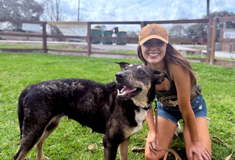 Enlarge Raya Everly The Love Story That Grows, a Adoptable mixed breed in Orem, UT image 5/6