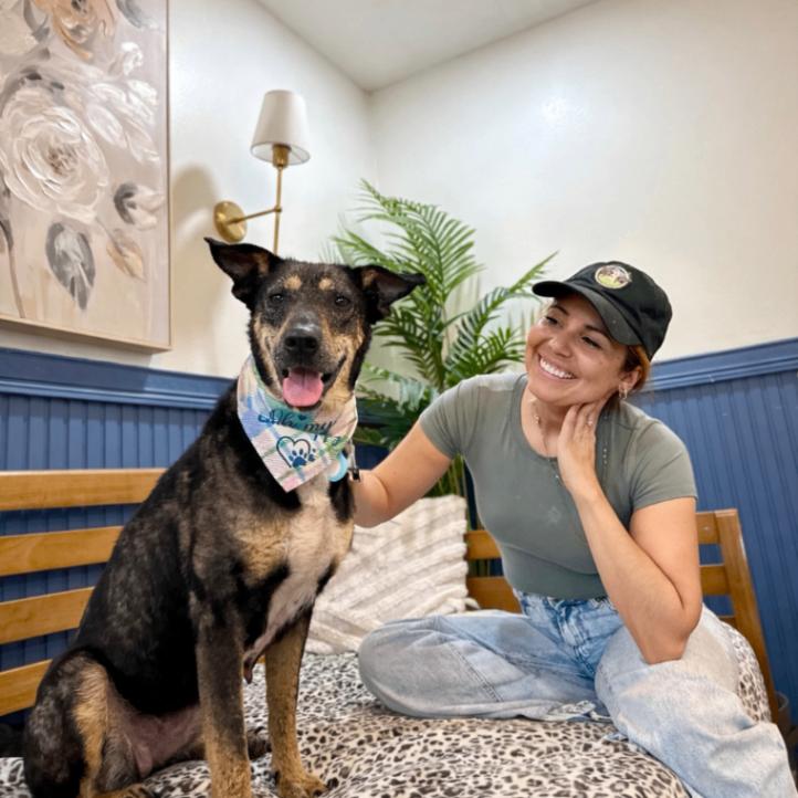 Enlarge Raya Everly The Love Story That Grows, a Adoptable mixed breed in Orem, UT image 2/6