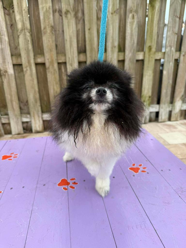 Tyme — thumbnail 3