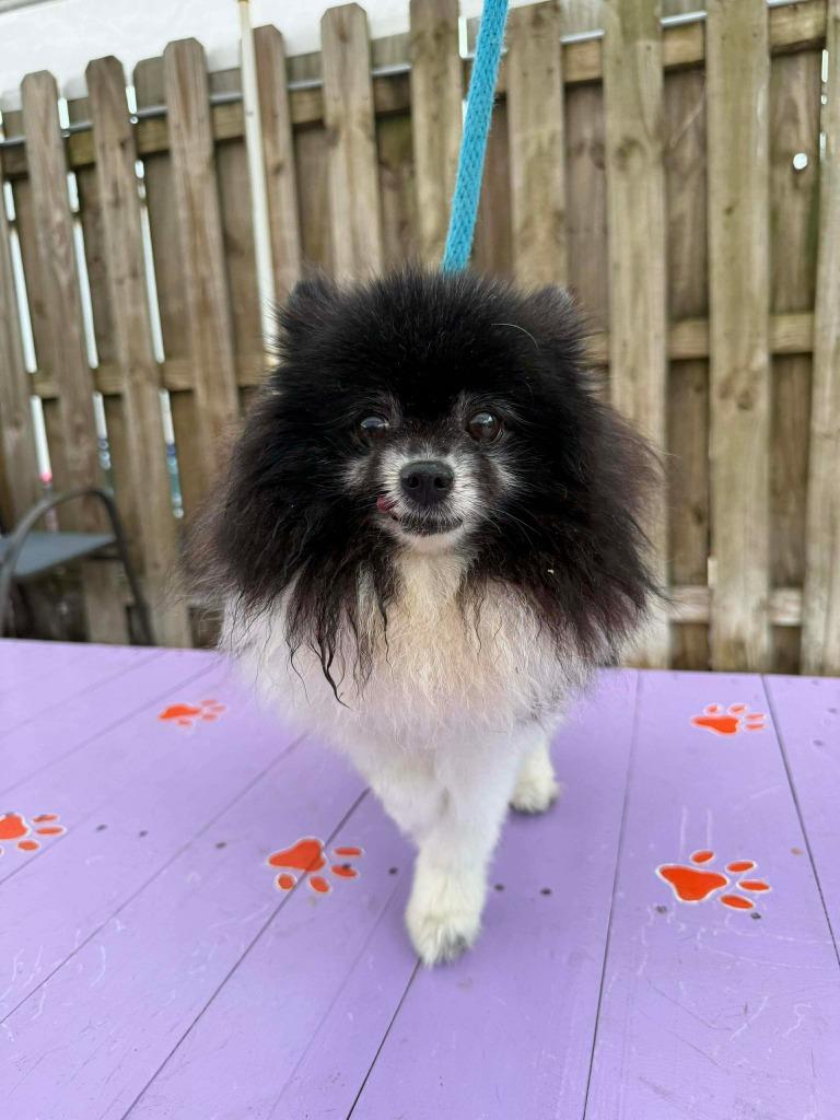 Tyme — thumbnail 4