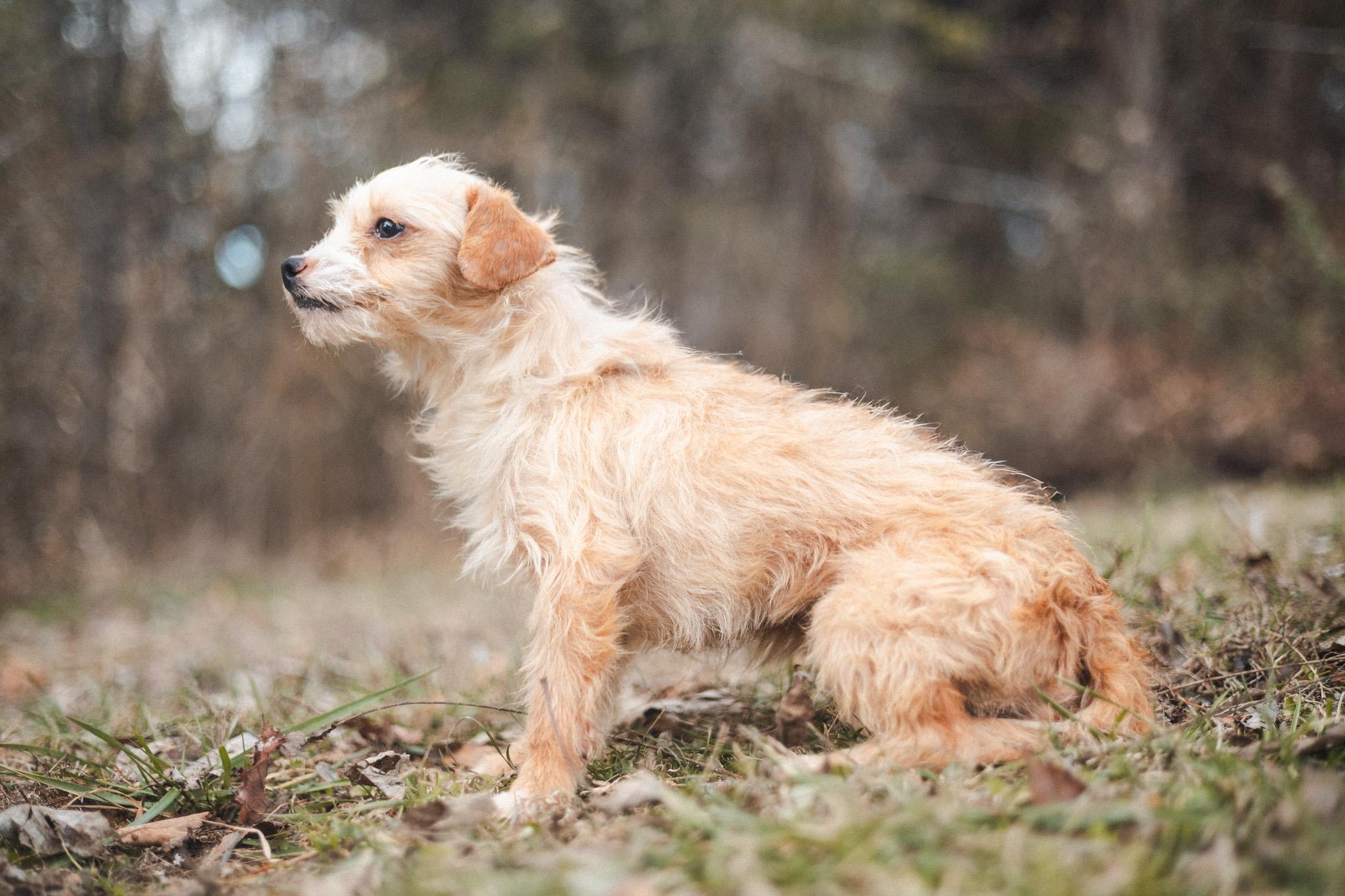 Sally  Transport thumbnail 3