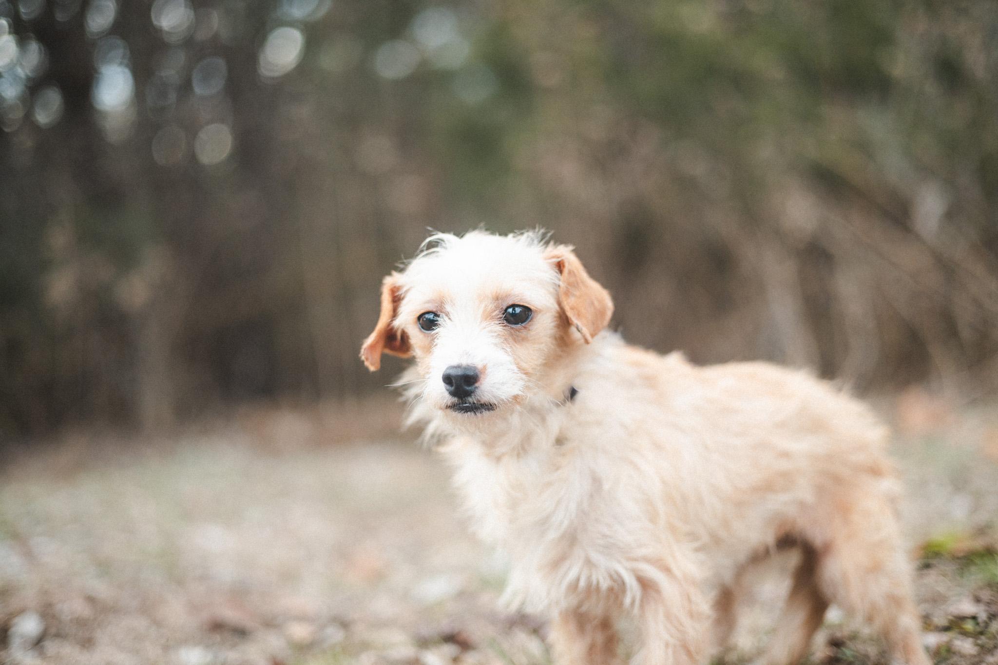 Sally  Transport thumbnail 4