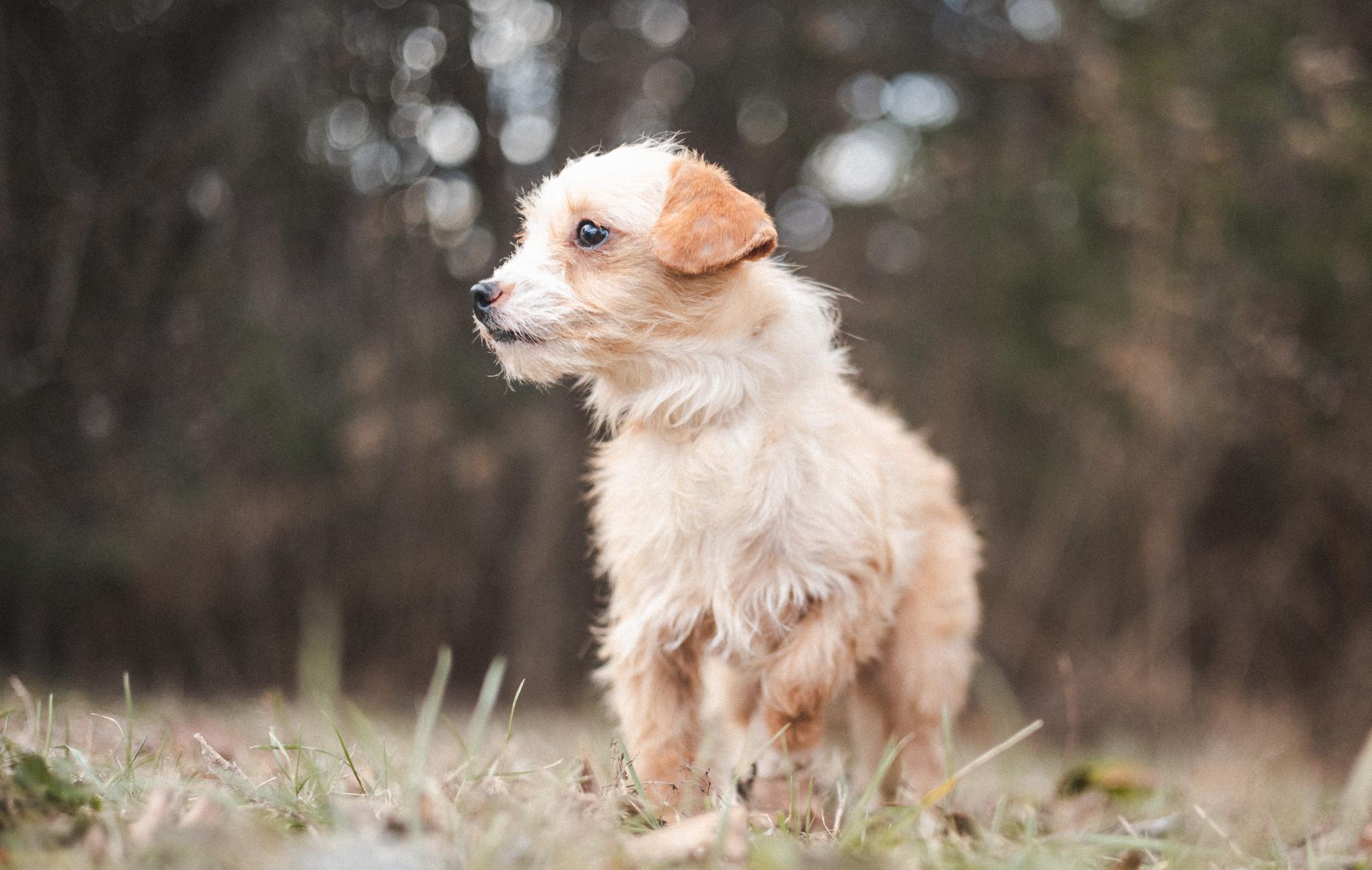 Sally  Transport thumbnail 5