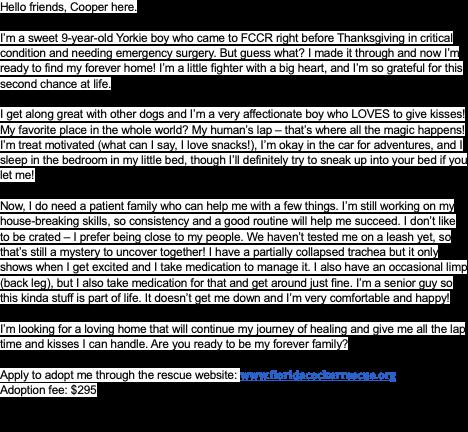 Cooper — thumbnail 2