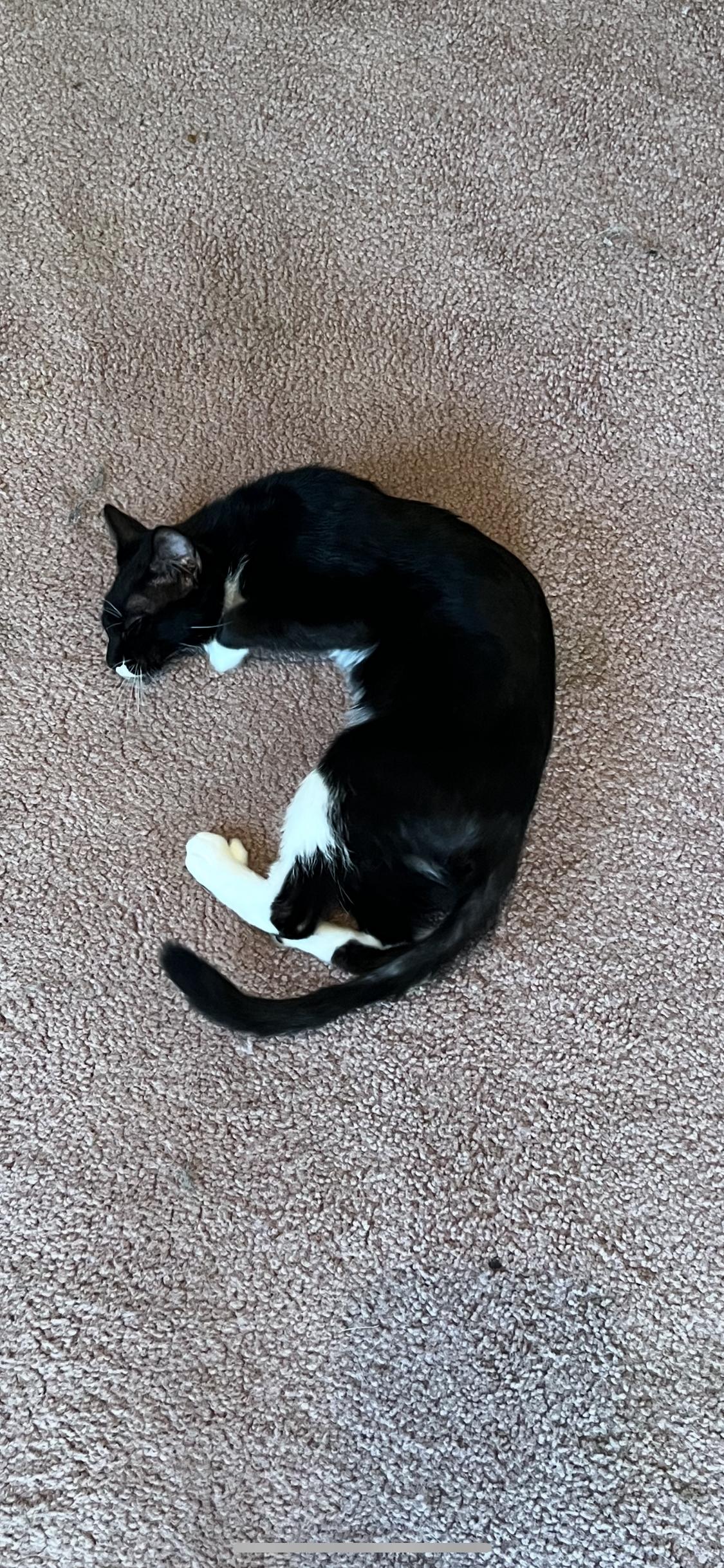 Mittens