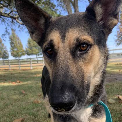 Jose (134093) (In a Foster Home)