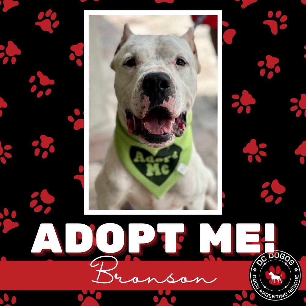 Bronson