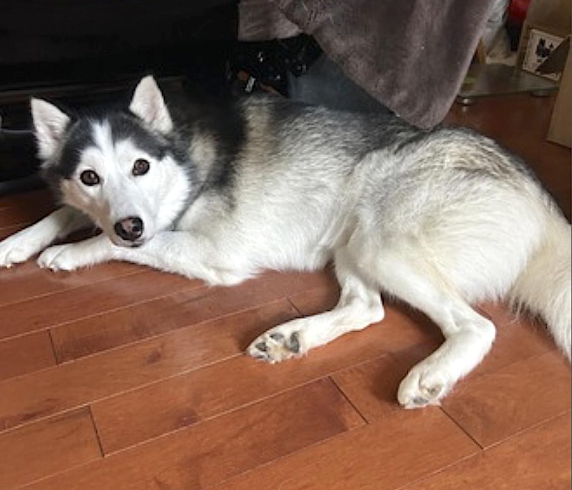 Max photo 4