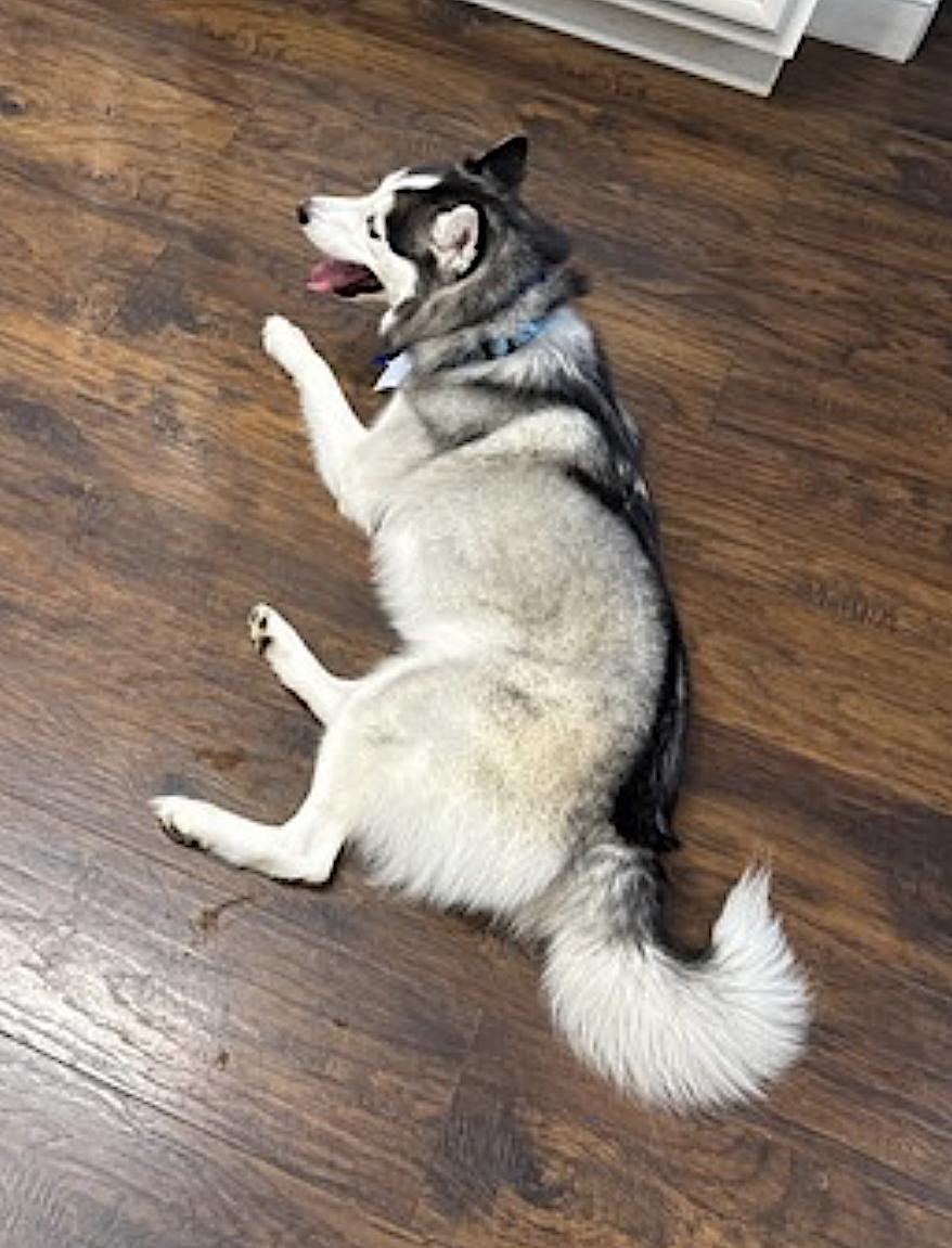 Max photo 3