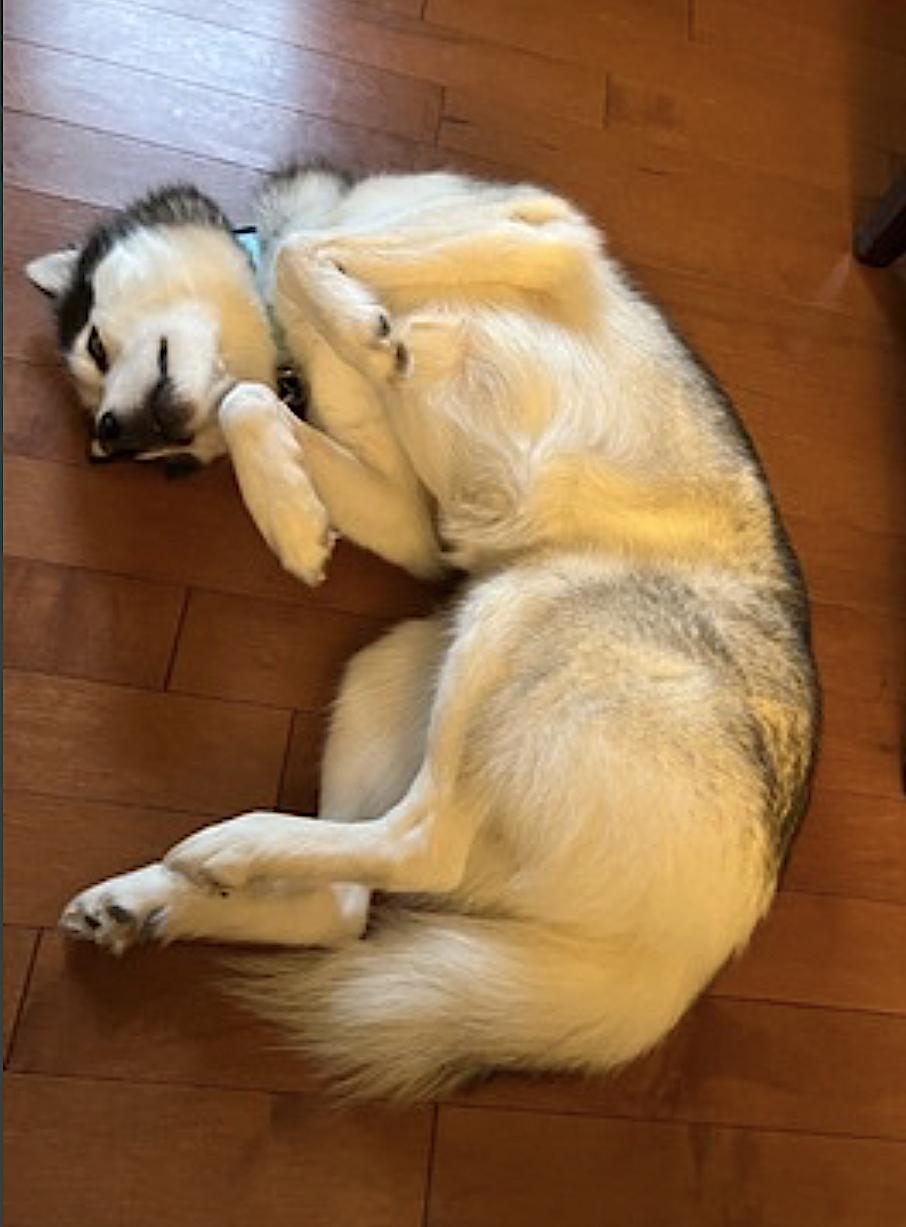 Max photo 2