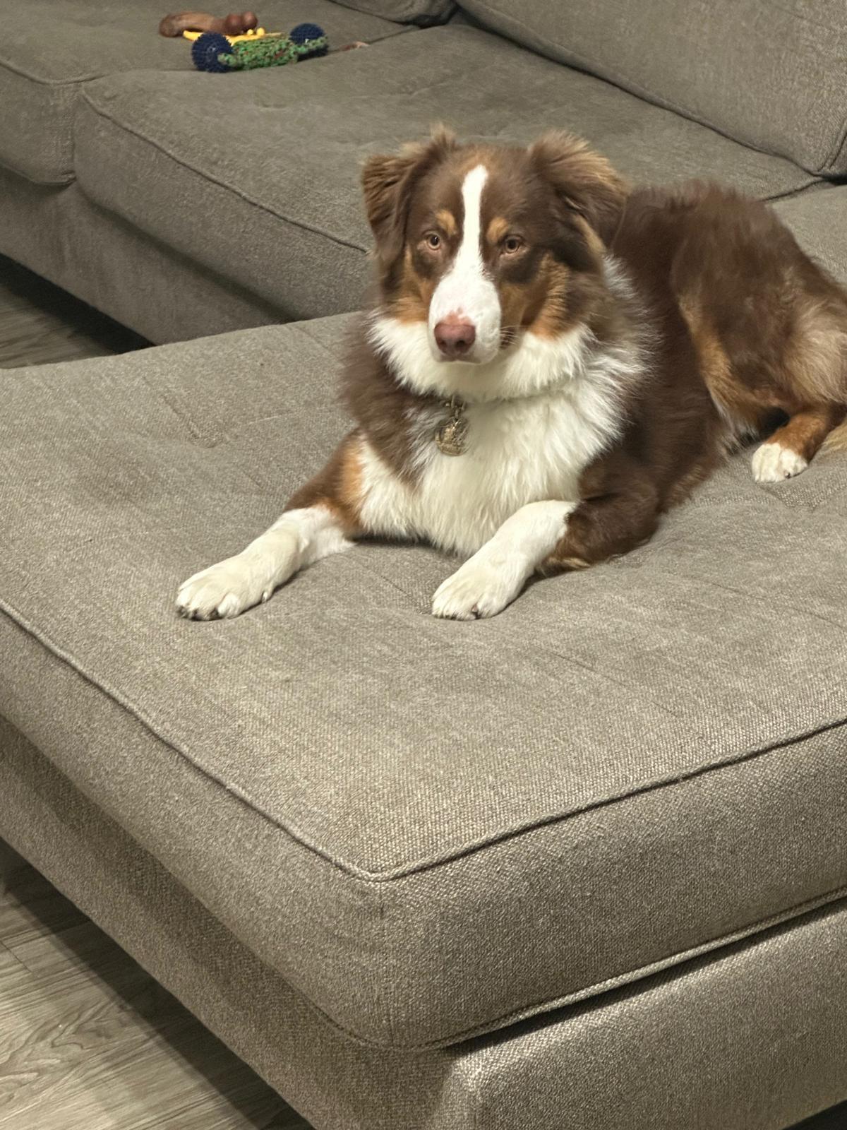 Balto