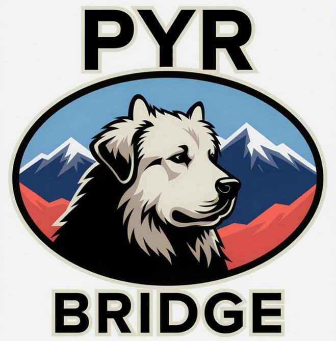 Enlarge Maya - Pyr Bridge Program, a ADOPTABLE Great Pyrenees in Spartanburg, SC image 6/6