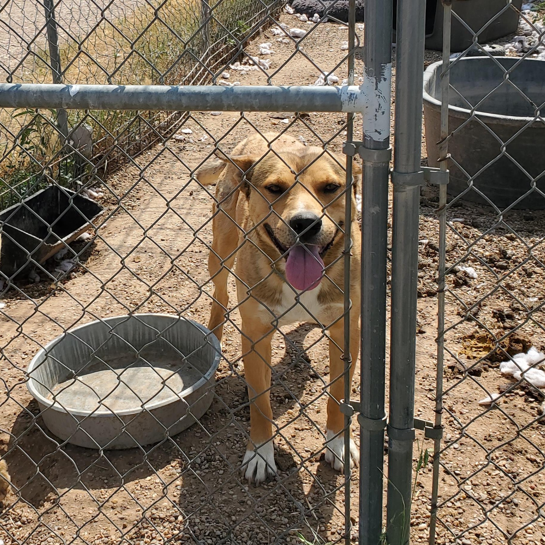 Wiley — thumbnail 2