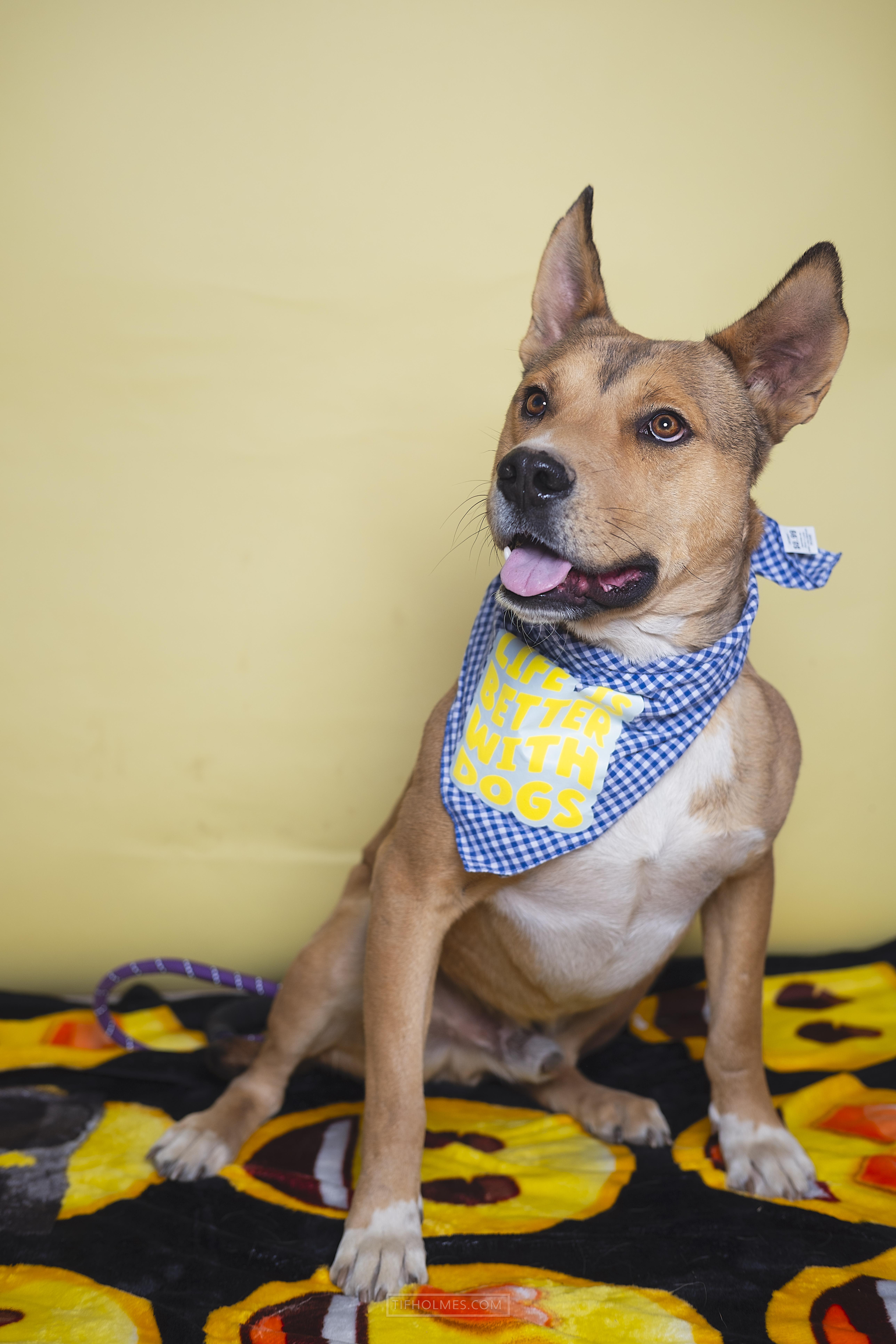 Wiley — thumbnail 3