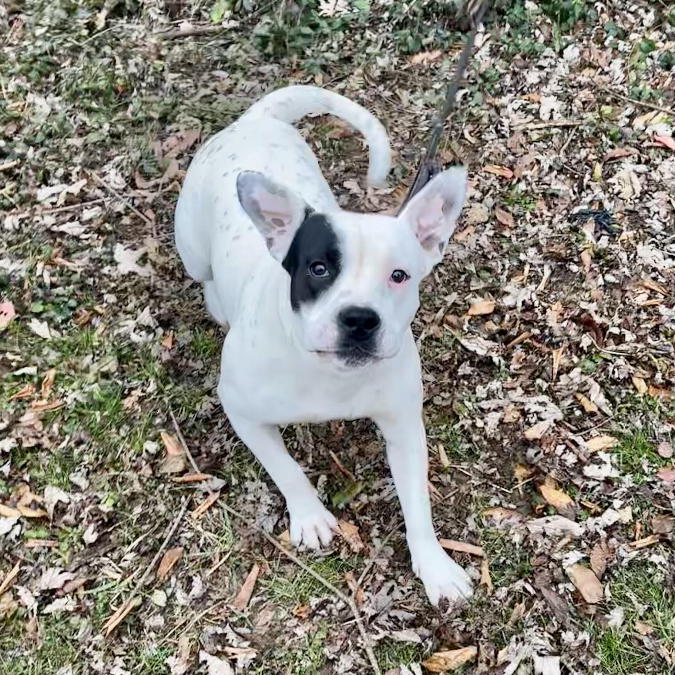 Tony Danza thumbnail 5