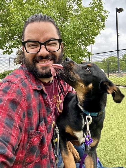 Enlarge Pixels, a Adoptable mixed breed in Wichita, KS image 1/3