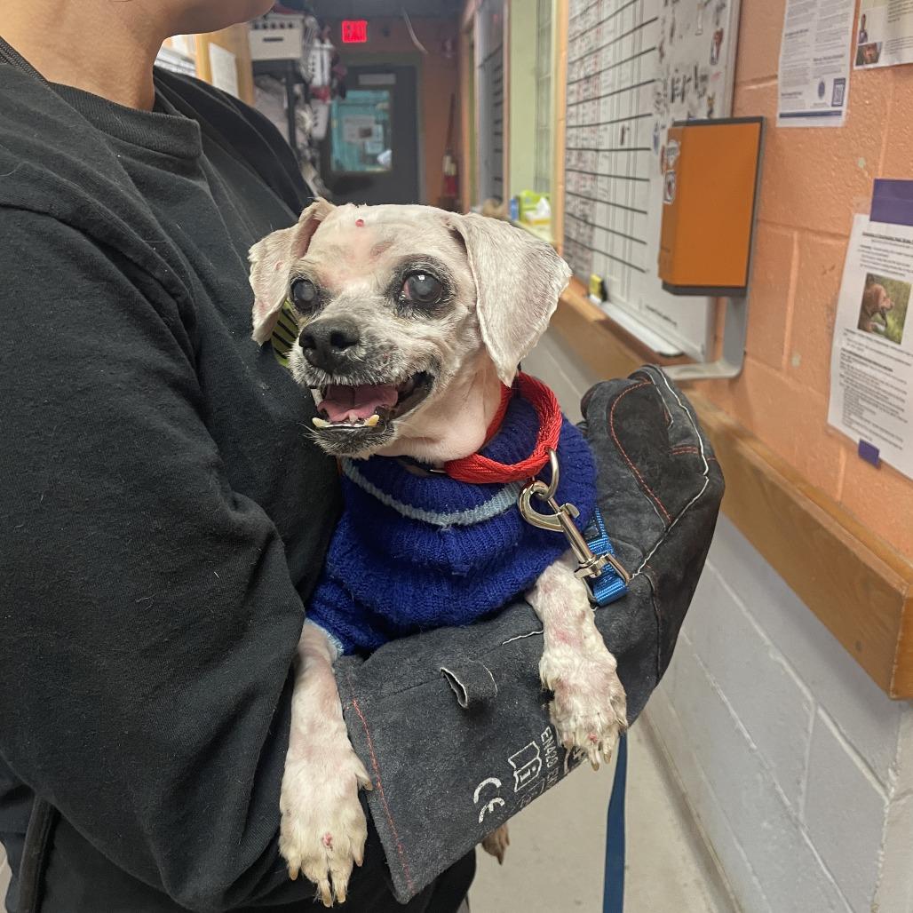 Bubble Boy — thumbnail 2