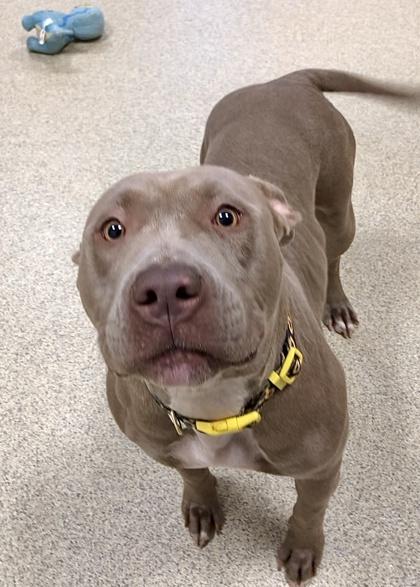 Eliana — thumbnail 3