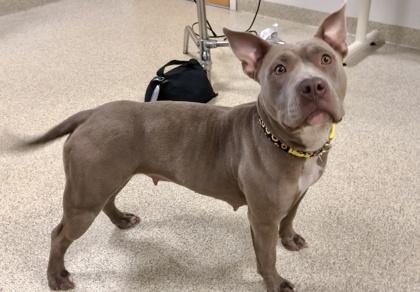 Eliana — thumbnail 5