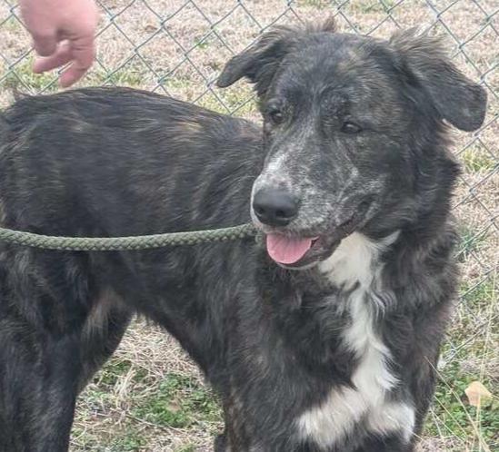 Lydia — thumbnail 2