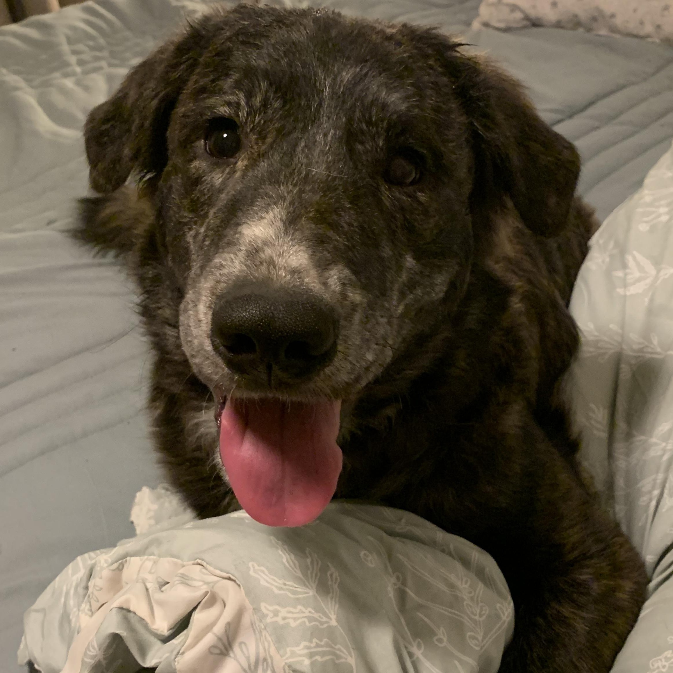 Lydia — thumbnail 3