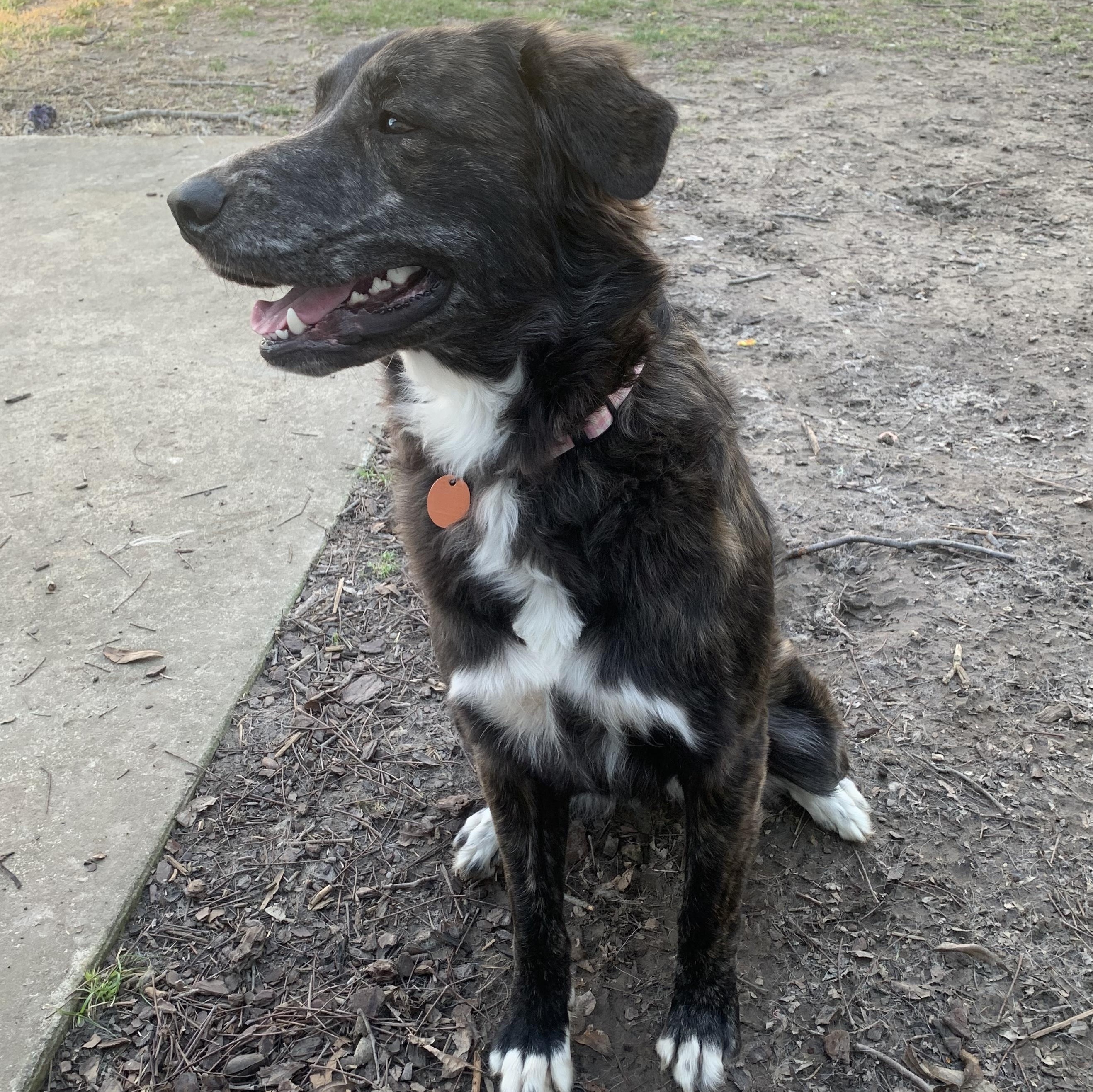 Lydia — thumbnail 4