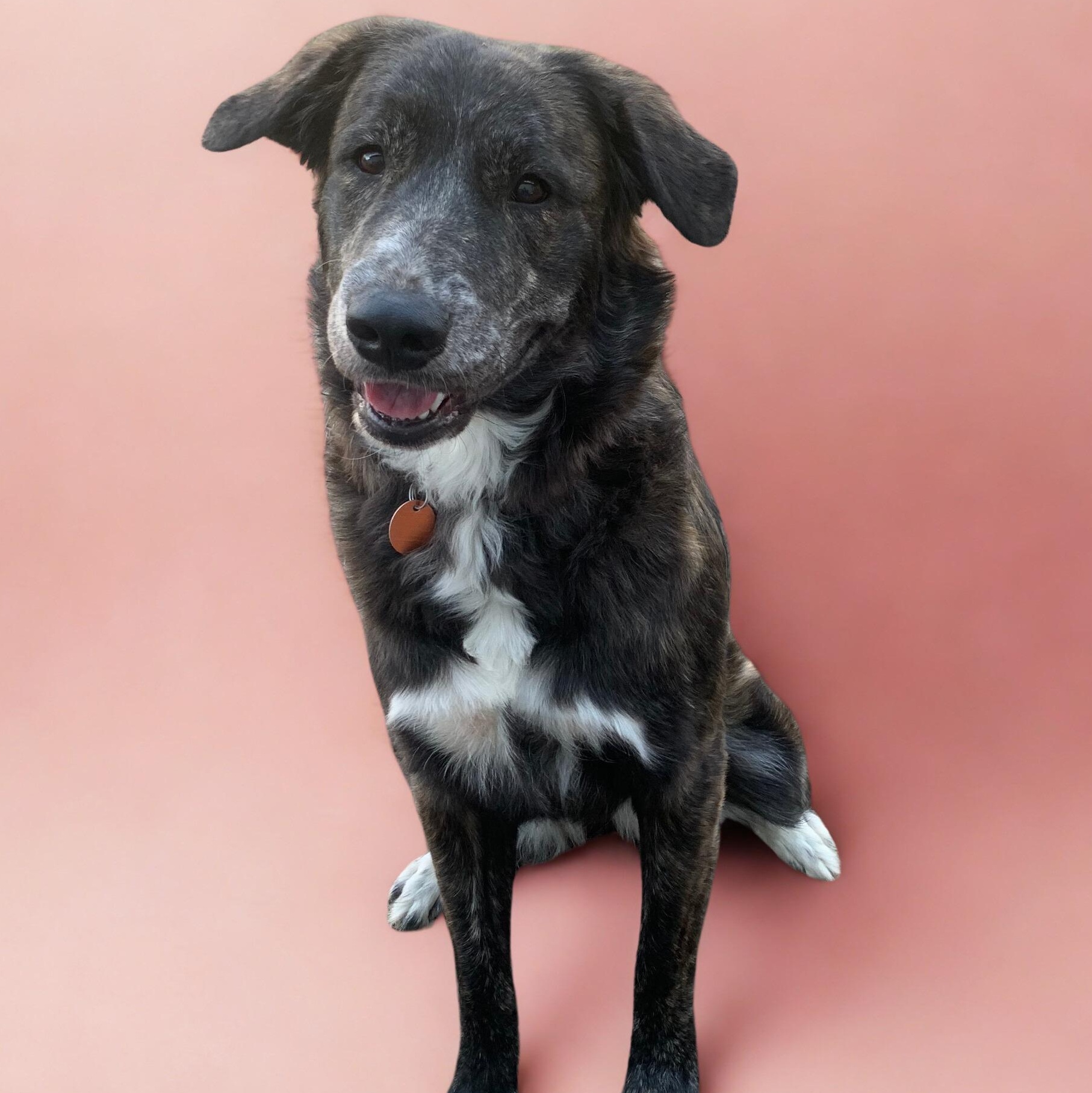 Lydia — thumbnail 5