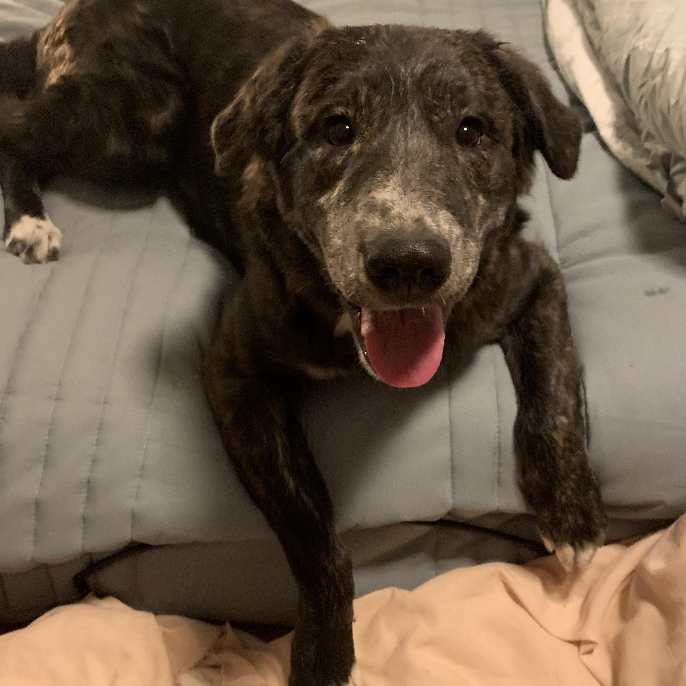 Lydia — thumbnail 6