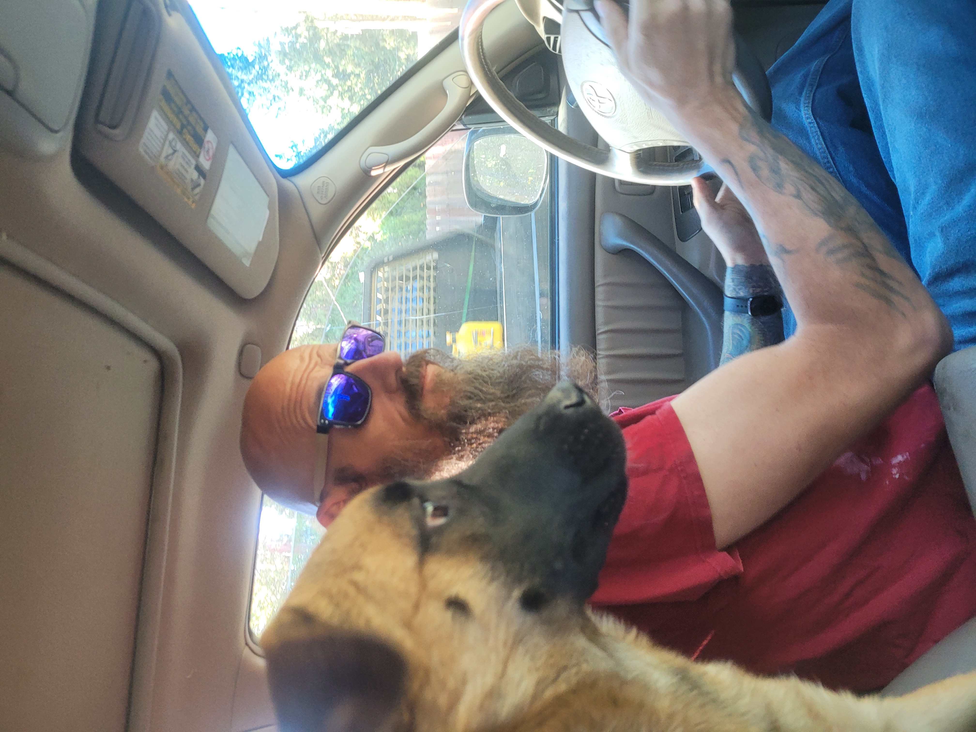 Anna Banana, Adoptable, Young Female Mixed Breed.