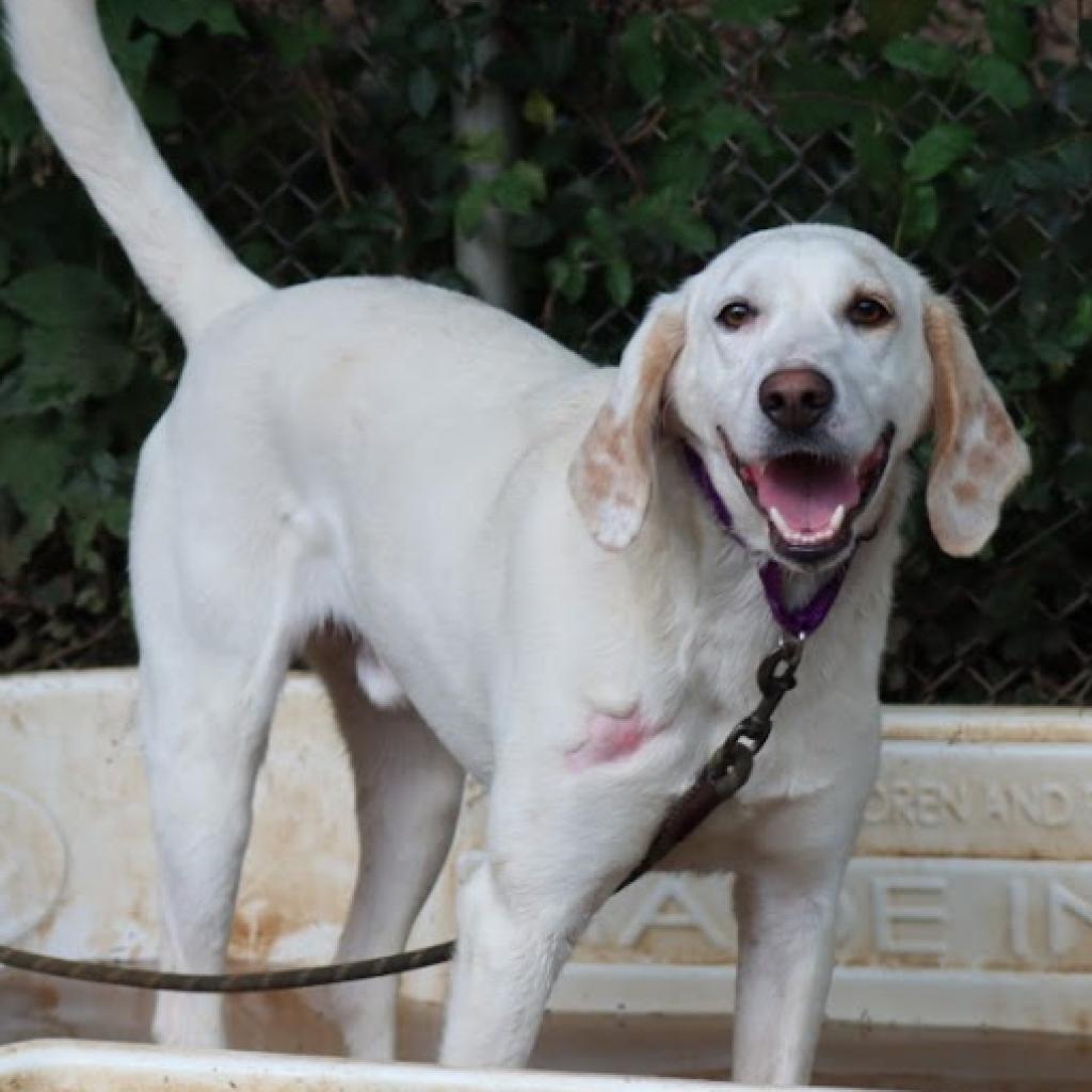 Aspen — thumbnail 2