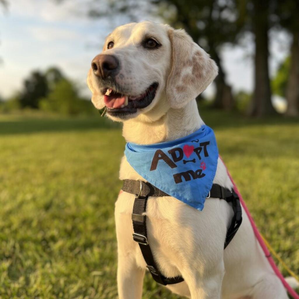 Aspen — thumbnail 3