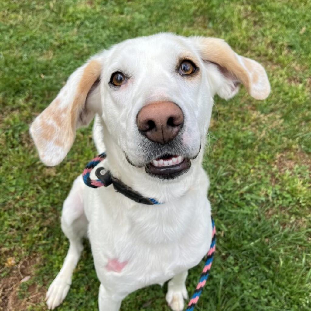 Aspen — thumbnail 5