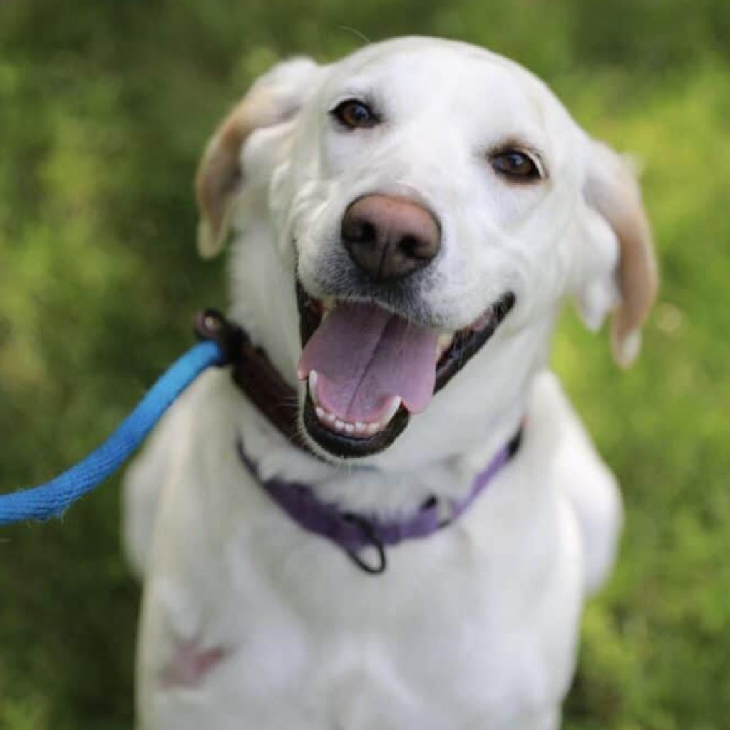 Aspen — thumbnail 6