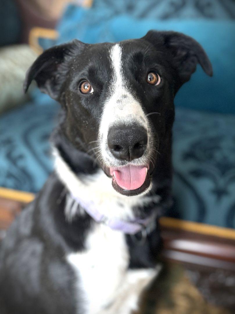 Nala photo 5