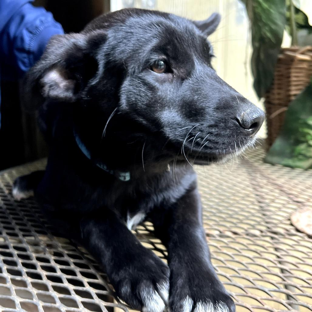 Audrey — thumbnail 2