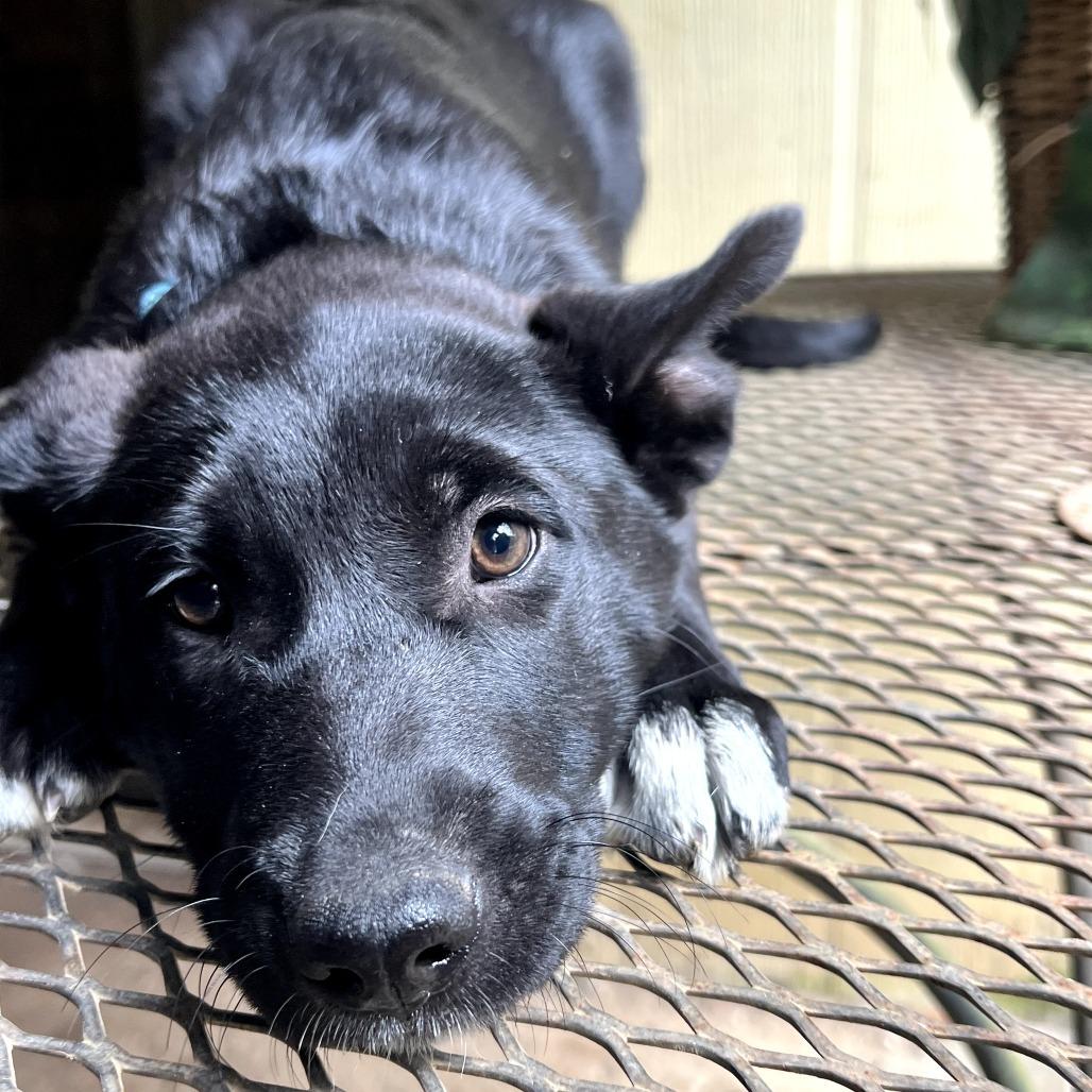 Audrey — thumbnail 4