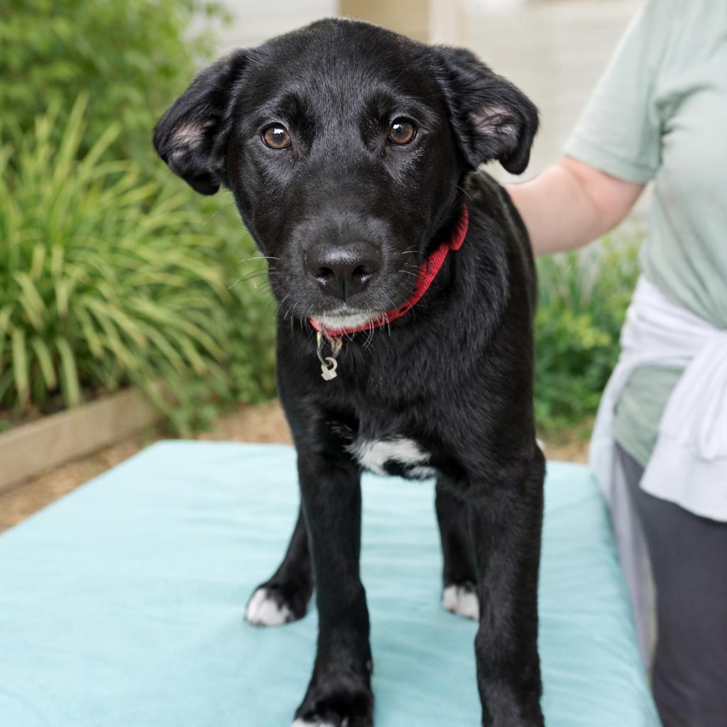 Audrey — thumbnail 6