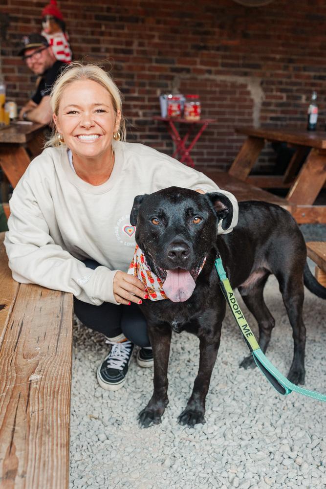Enlarge Crowley, a ADOPTABLE mixed breed in Franklin, TN image 3/6