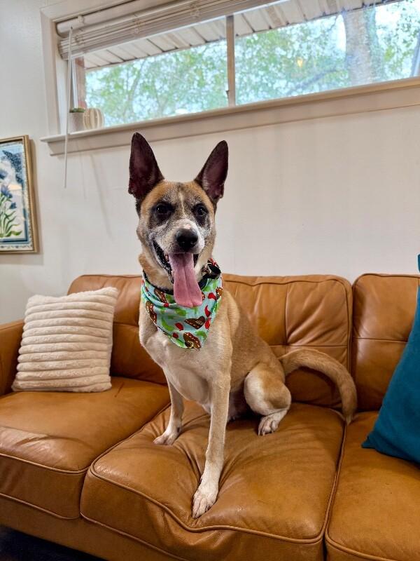 Kaiser Cruz Ready for the Good Life — thumbnail 3