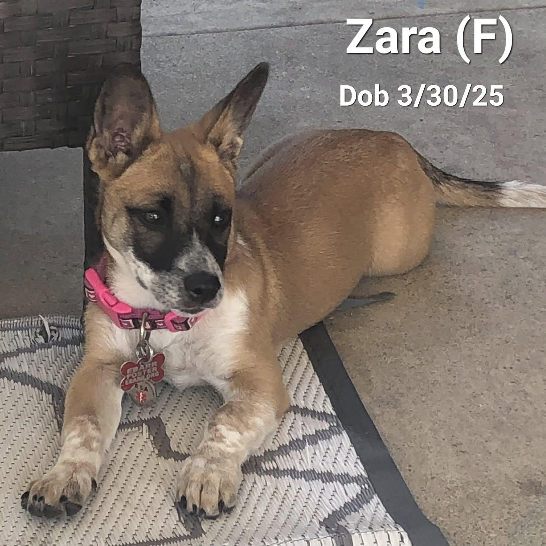 Zara