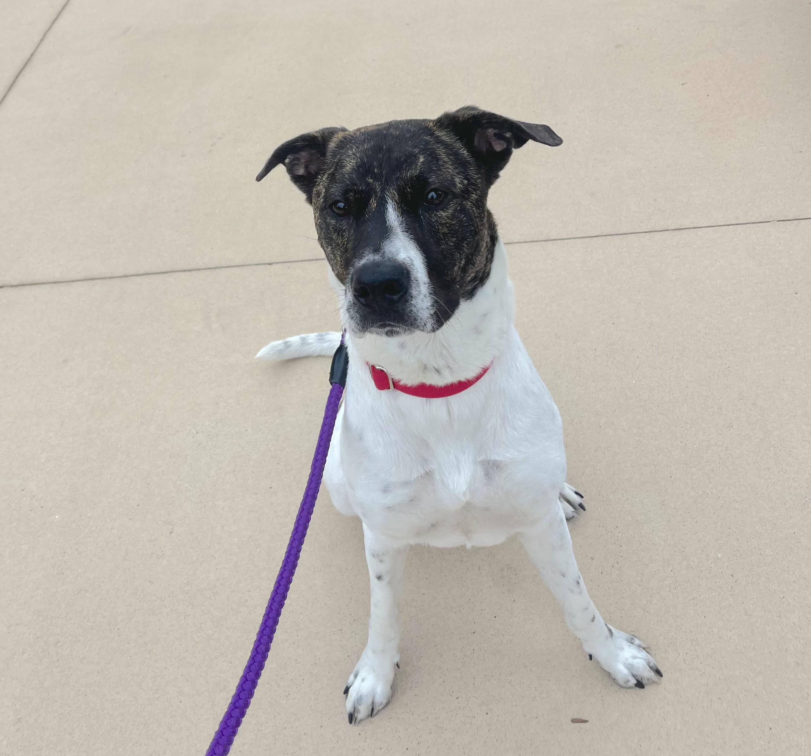 Penny — thumbnail 4