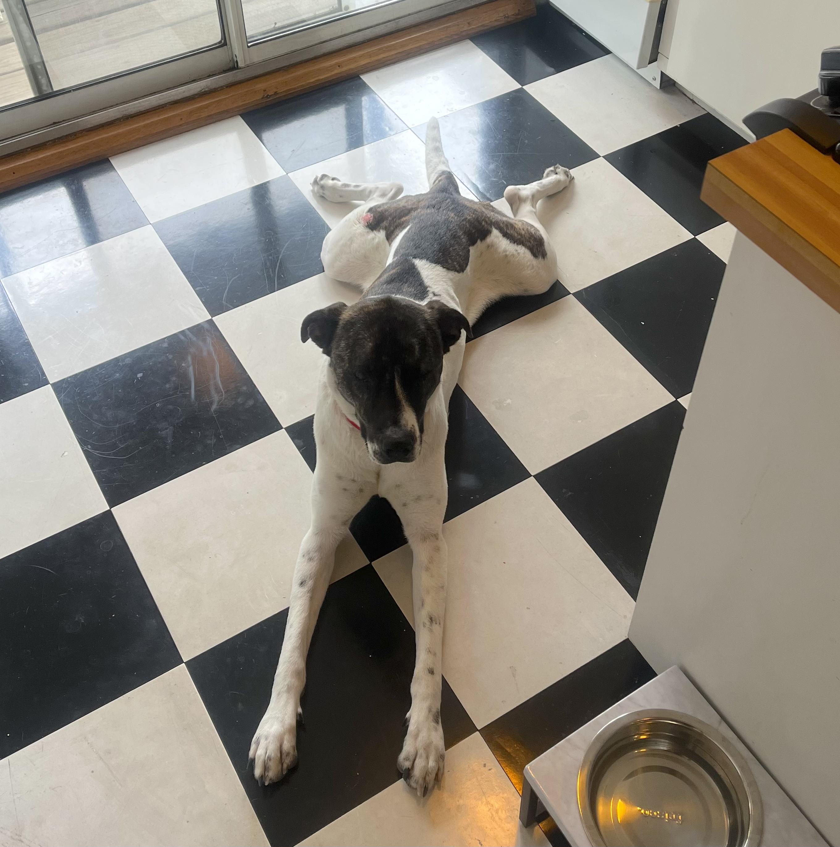 Penny — thumbnail 5