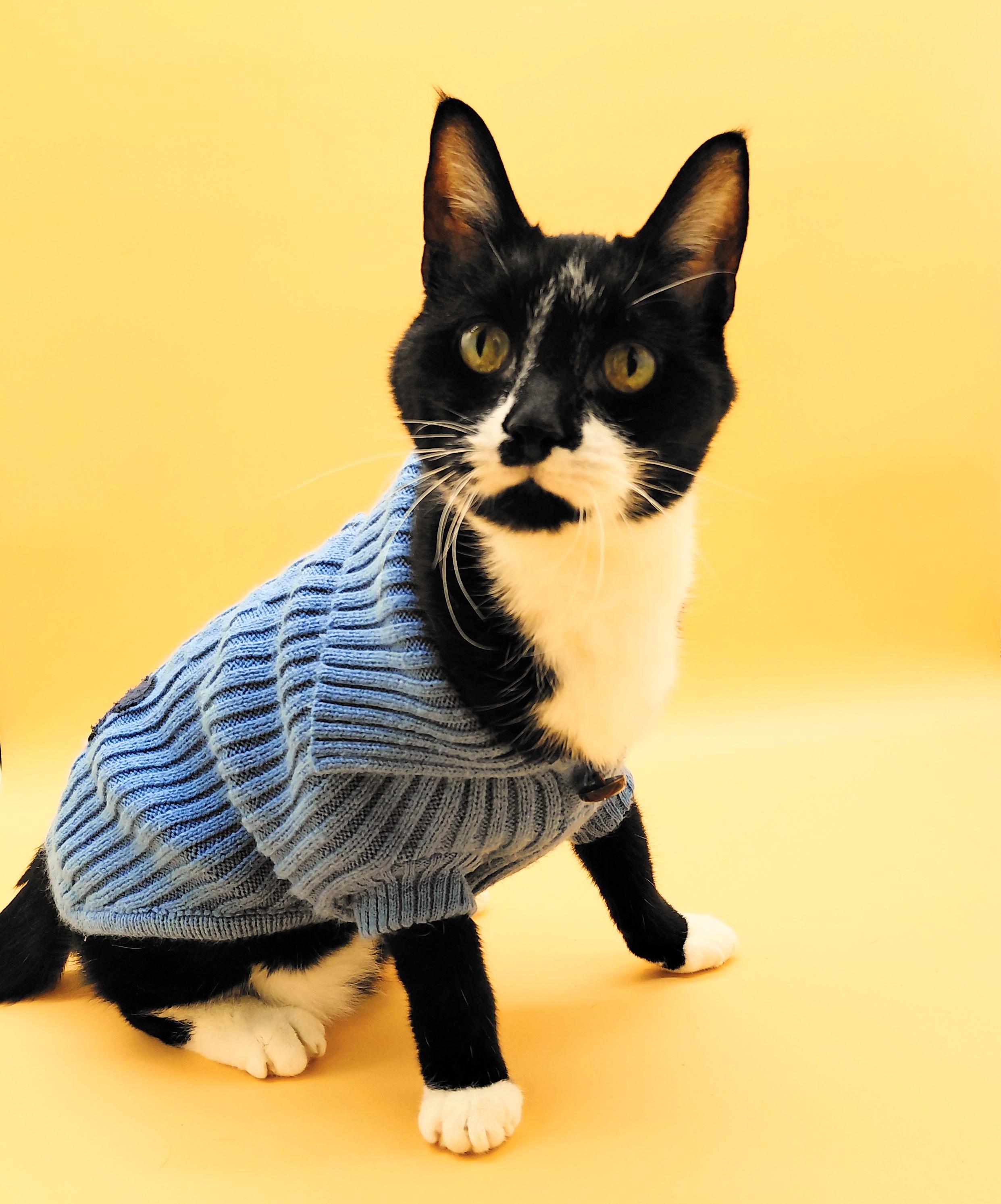 James Bond — thumbnail 3