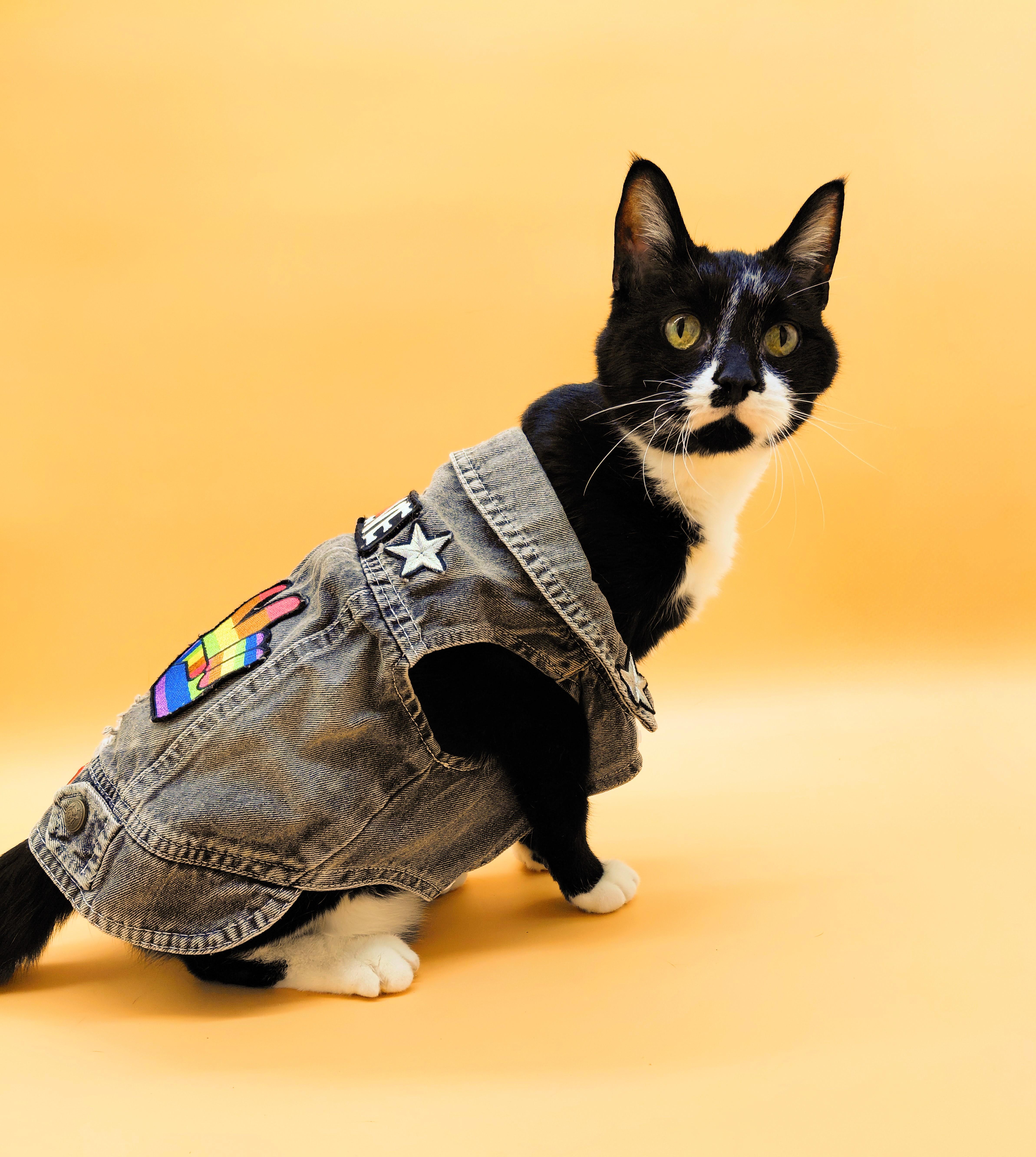 James Bond — thumbnail 4