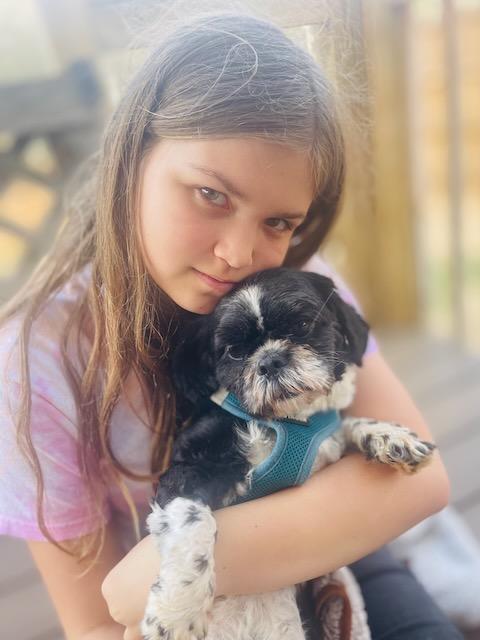 JUNIPER, a ADOPTABLE mixed breed in Alpharetta, GA image 3/6